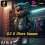 DJ O MERE SANAM INS