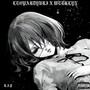 RIP (Explicit)