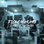 Flow & Humo (feat. Newton 303) [Explicit]