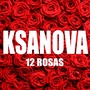 12 Rosas