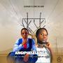 Angiphelelanga (feat. Luwe Da Lion)