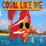 Cool Like Me (with Jeff R, R.a.B., Lost Cub & Miliano) [Explicit]