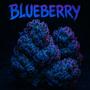 BLUEBERRY (feat. SKINNY FAT, CY MG & PLDS CREW) [Explicit]