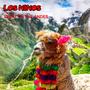 Spirit of th Andes