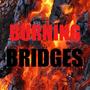 BURNING BRIDGES (feat. Carlos)