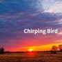 Chirping Bird