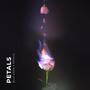 Petals (Explicit)