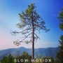 Slow Motion