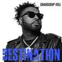 DESTINATION MIXTAPE (Explicit)