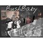 BushBaby (Explicit)