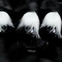 burning light (Explicit)