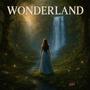 Wonderland (feat. VenomCandy & Hitesh Narang)