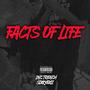 Facts Of Life (Explicit)