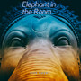 Elephant in the Room