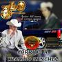 CORRIDO A CHALINO SANCHEZ (VERSION EL SIERREÑO DE CHIHUAHUA)