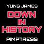 DOWN IN HISTORY (feat. PIMPTRESS) [Explicit]