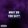 What Do You Say (Explicit)