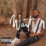 Wait (Explicit)