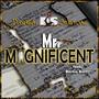 Mr. Magnificent (feat. Bernie Burns) [Radio Edit]