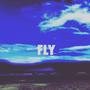 FLY