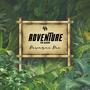 ADVENTURE: THE ALBUM