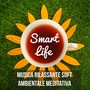 Smart Life - Musica Rilassante Soft Ambientale Meditativa per Dormire Riposare Rimedio Naturale Terapia Chakra e Pranayama Yoga