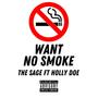 Want No Smoke (feat. Holly Doe & The Szns) [Explicit]