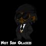 Not Sun Glasses (feat. IPLZM3) [Explicit]