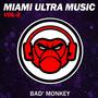 Miami Ultra Music Vol.8, Compiled By Bad Monkey