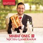 Shabat Oneg With Micha Gamerman