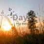 Days