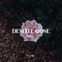 Desert Rose