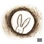 Rabbit Hole (Explicit)