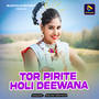 Tor Pirite Holi Deewana