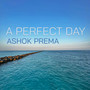 A Perfect Day