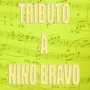 Tributo a Nino Bravo