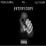 Extensions (feat. RG & Gee Scrap) [Explicit]