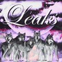 LEAKS (Explicit)