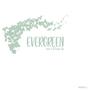 Evergreen (feat. Omar Apolo)