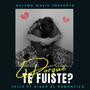 PORQUE TE FUISTE (feat. Diego el Romántico)