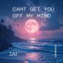 Can't Get You Off My Mind