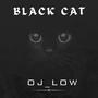 Black cat (Explicit)