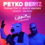 Peyko Beriz (feat. Alireza Mokhtary)