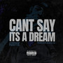 Can't Say It's a Dream (Explicit)