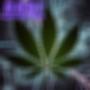 Mary Jane Kind (feat. Lezy) [Explicit]