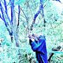 ULTRAMARINE (Explicit)