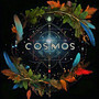 Cosmos