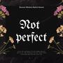 Not Perfect (Explicit)