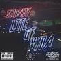 Life Of Vyna (feat. Juhhad Leone) [Explicit]