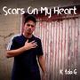 Scars On My Heart